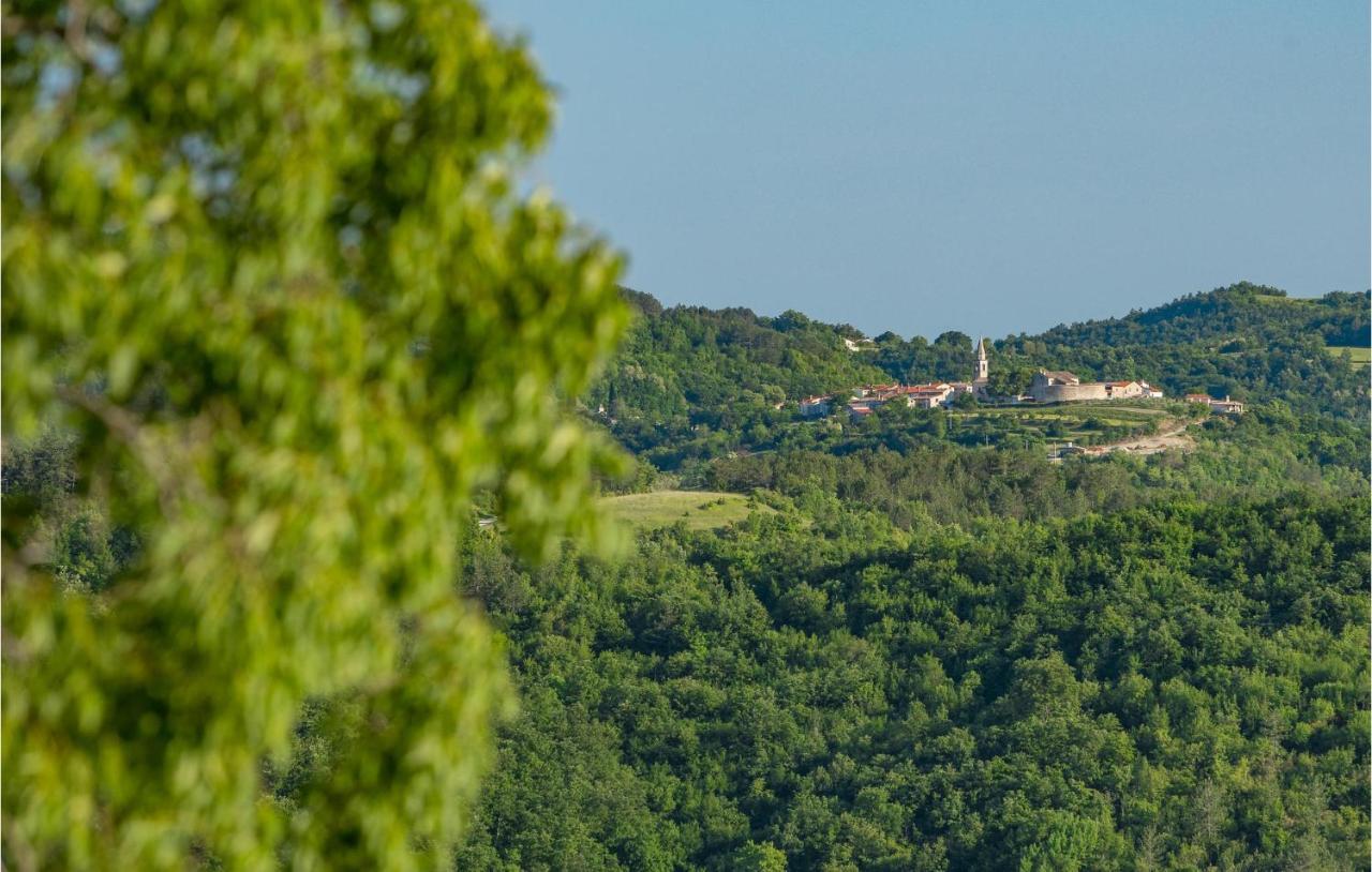 Nice Home In Buzet With Sauna Exterior photo